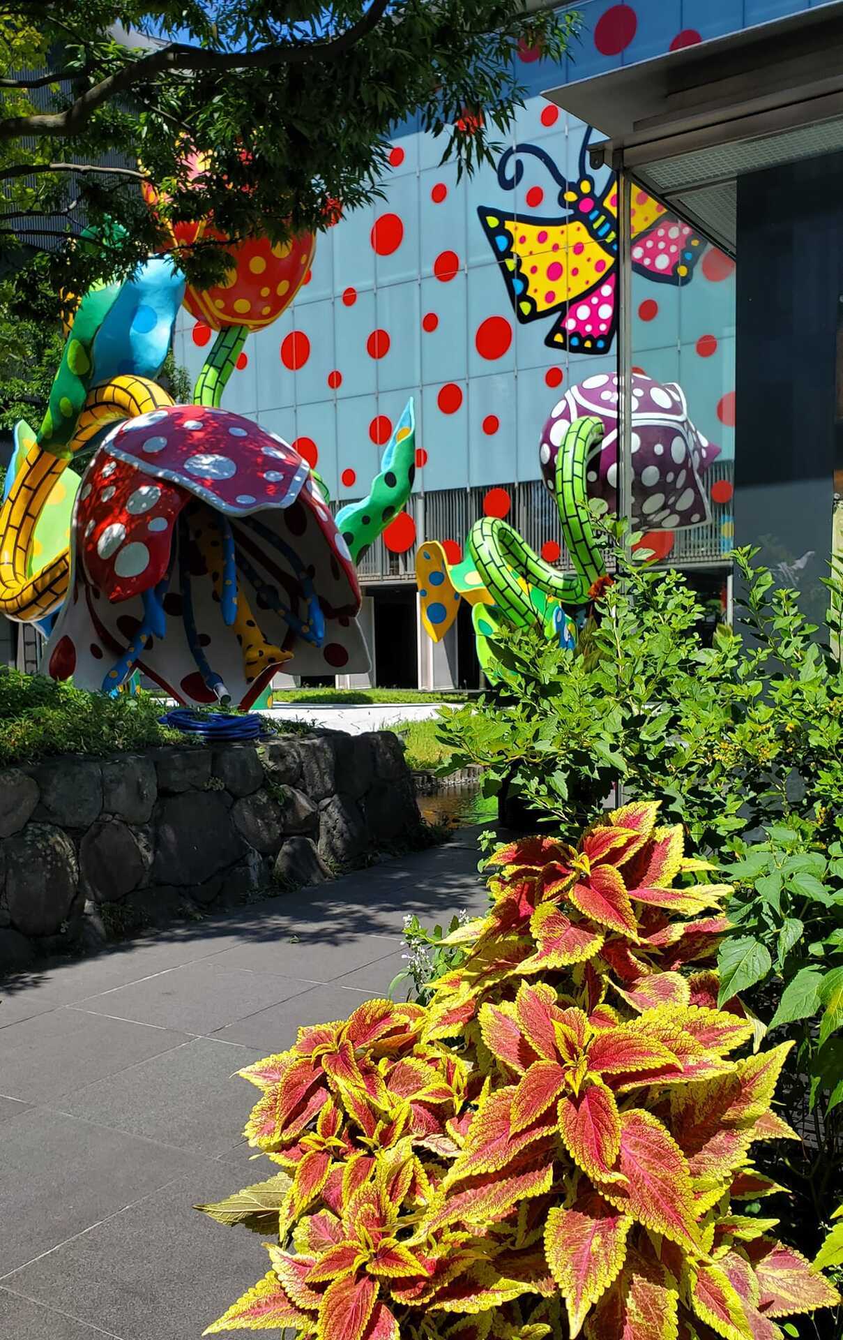 松本市美術館（1）草間彌生（2024年8月12日）: 今日も劇場へ？ 森岡